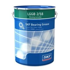 LGGB 2/18